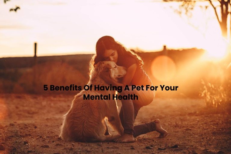 5 Benefits Of Having A Pet For Your Mental Health