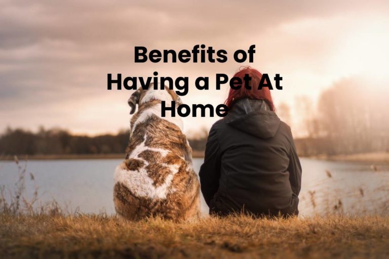 Benefits of Having a Pet At Home