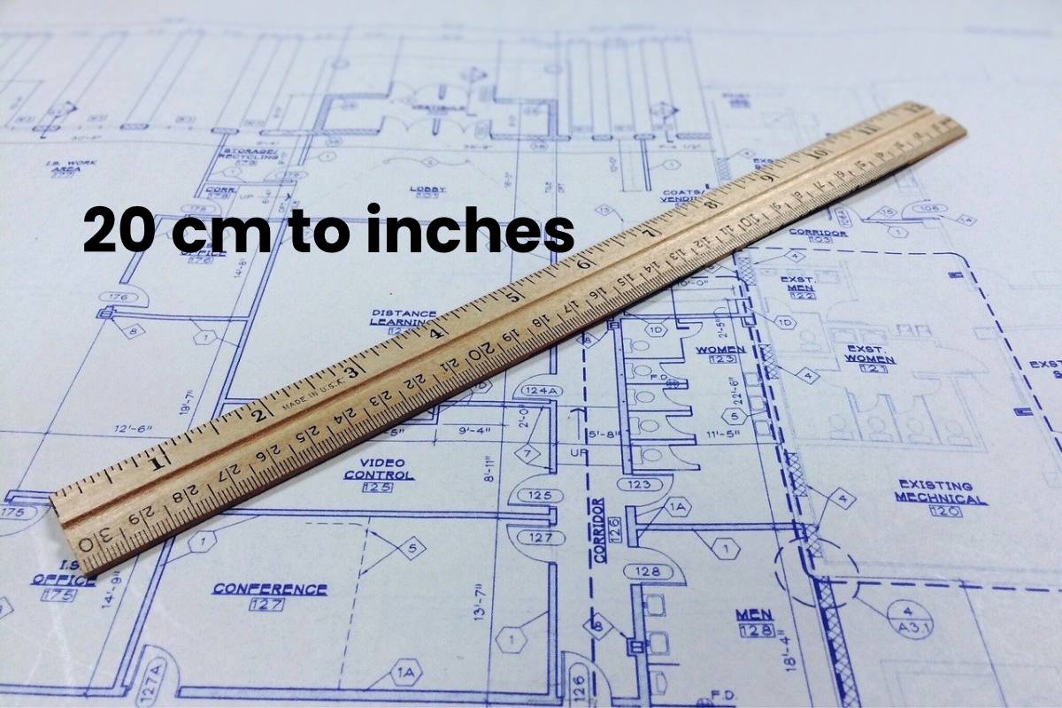 20 Cm To Inches